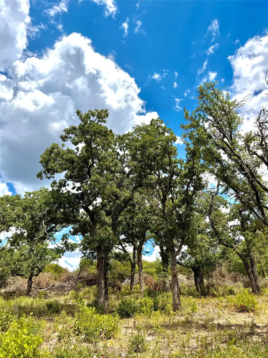 TBD Tract 7 Pecan Shell Rd, Desdemona, TX 76445 - #3
