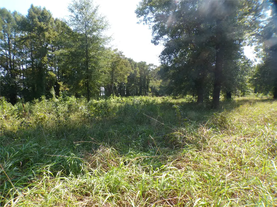 0 Collier Trail, Lewisville, AR 71845 - #2