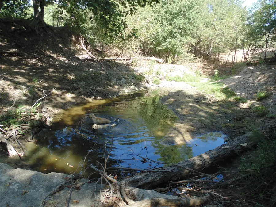 699 County Road 260, Gustine, TX 76455 - #3