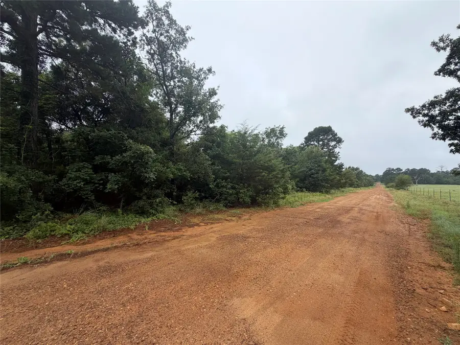 TBD County Road 3999, Winnsboro, TX 75494 - #3