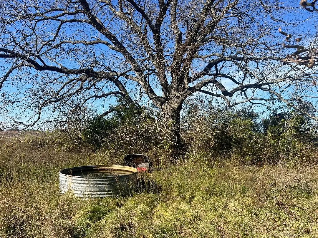 0000 Lcr 454, Groesbeck, TX 76642 - #1
