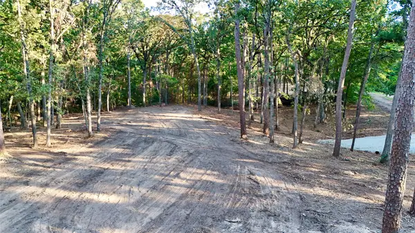 TBD Ermine Court, Mount Vernon, TX 75457
