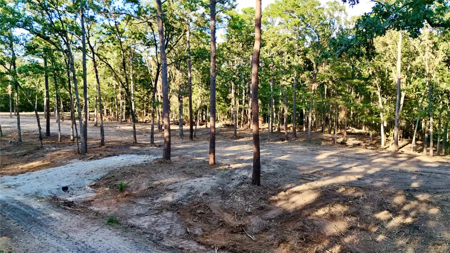 TBD Ermine Court, Mount Vernon, TX 75457 - #2