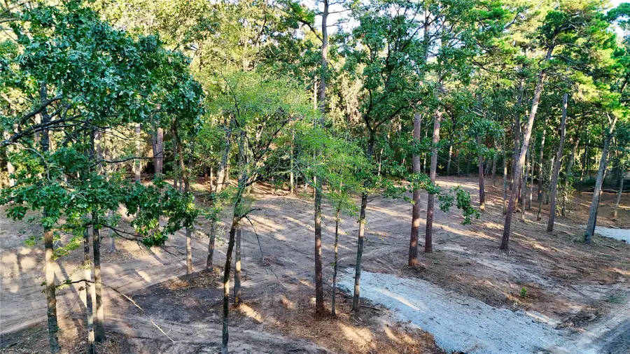 TBD Ermine Court, Mount Vernon, TX 75457 - #3