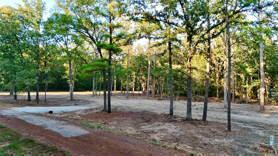 0 Ermine Court, Mount Vernon, TX 75457 - #3