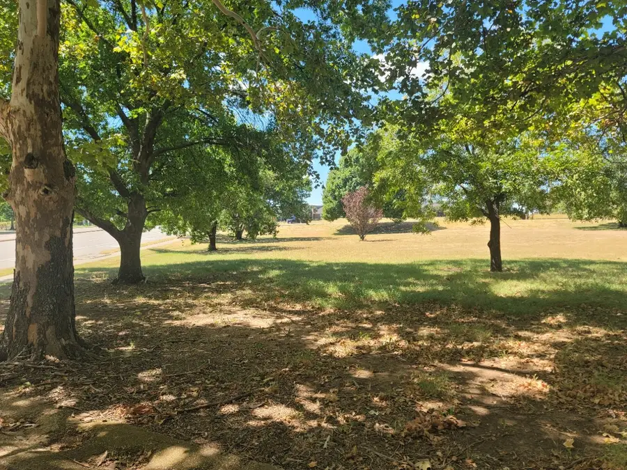 125 E Pleasant Run Road, Cedar Hill, TX 75104 - #3
