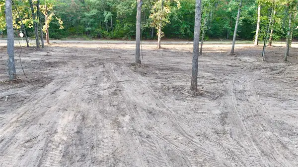 TBD Bluebonnet Trail, Mount Vernon, TX 75457