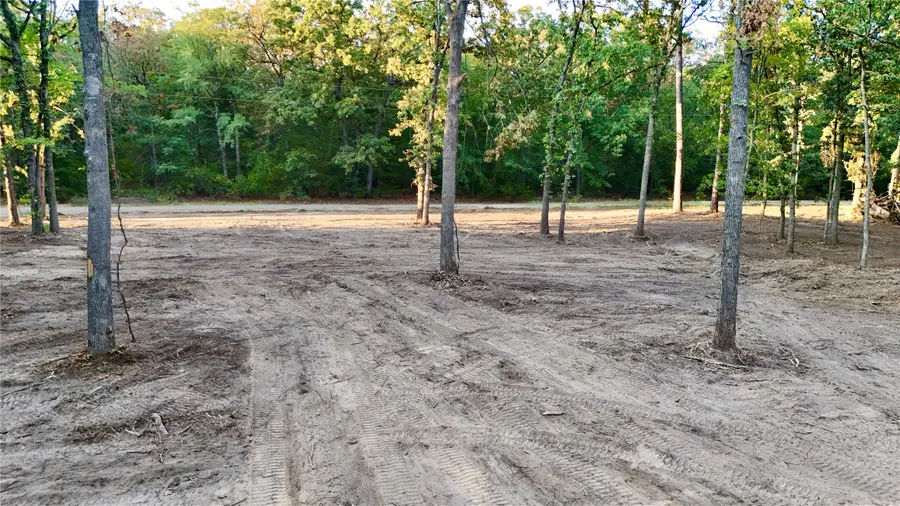TBD Bluebonnet Trail, Mount Vernon, TX 75457 - #2