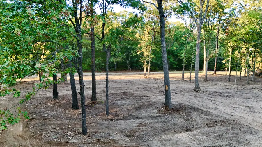 TBD Bluebonnet Trail, Mount Vernon, TX 75457 - #3