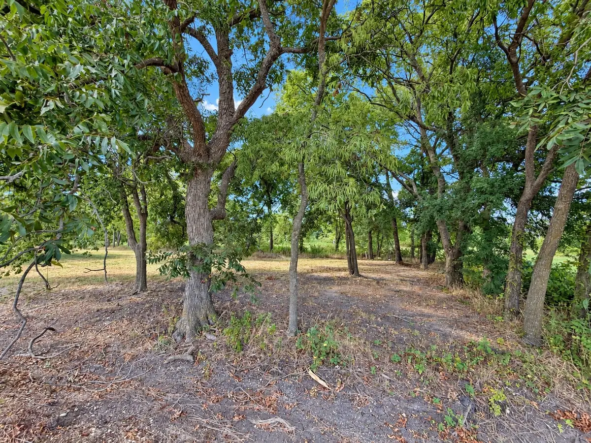 82 10th Street, Honey Grove, TX 75446 - #1