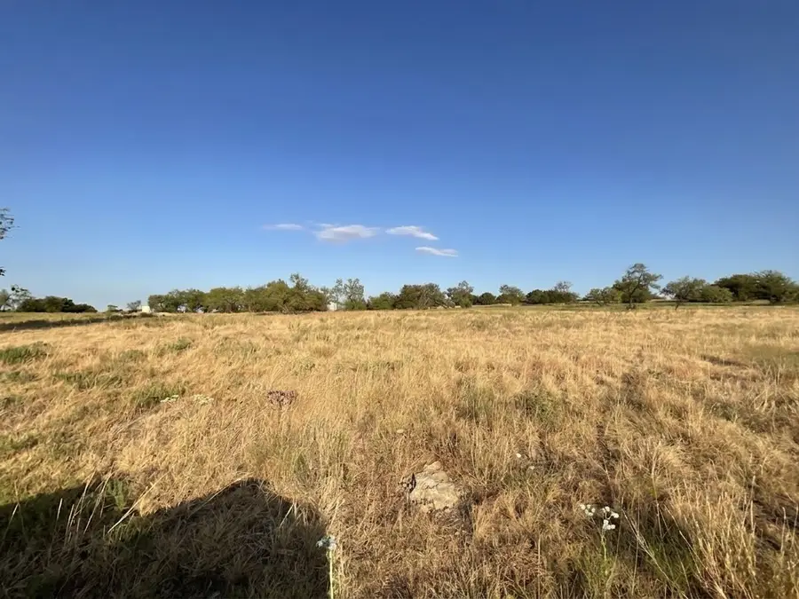 1009 Goodnight Trail, Perrin, TX 76486 - #2