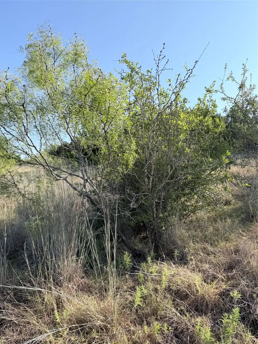 TBD Tract N25 Pr 2902, Hamilton, TX 76531 - #2