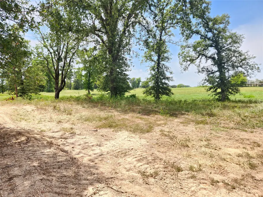 Lot 21 Cr 3249, Mount Pleasant, TX 75455 - #2