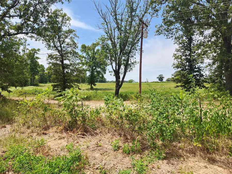 Lot 23 Cr 3249, Mount Pleasant, TX 75455 - #3