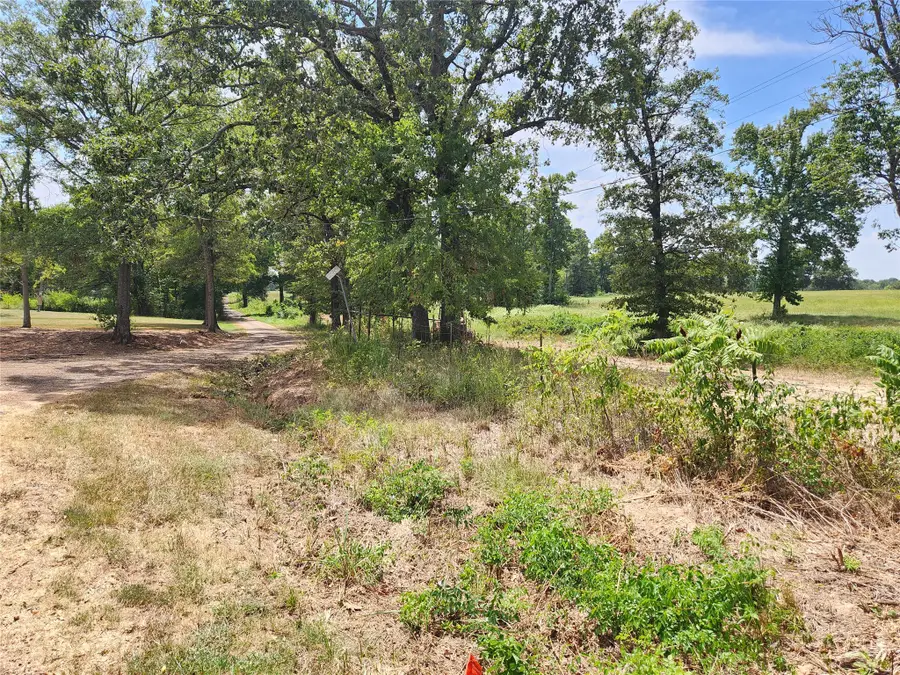 Lot 24 Cr 3249, Mount Pleasant, TX 75455 - #2