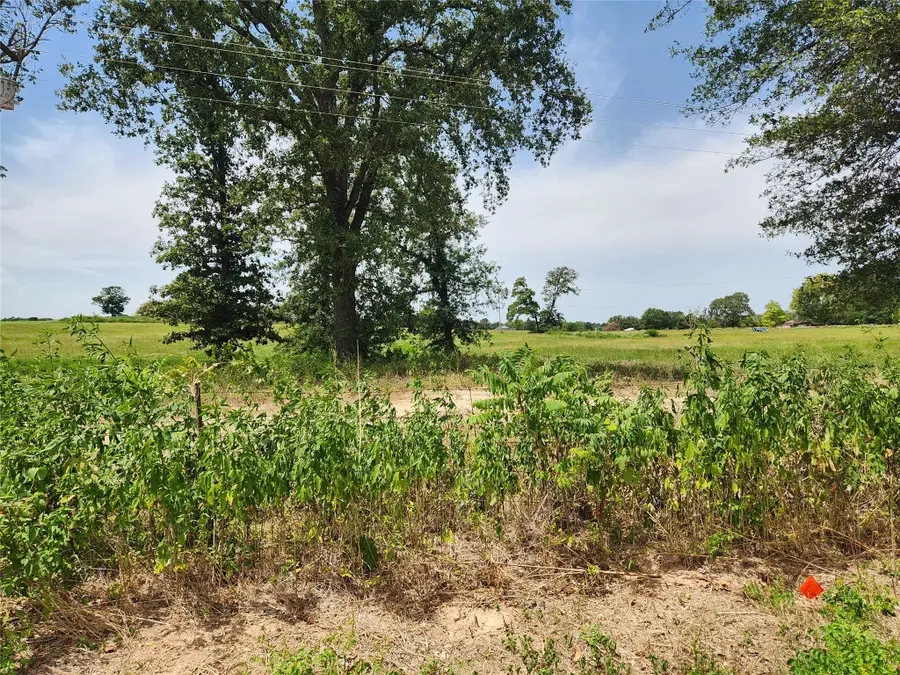 Lot 24 Cr 3249, Mount Pleasant, TX 75455 - #3