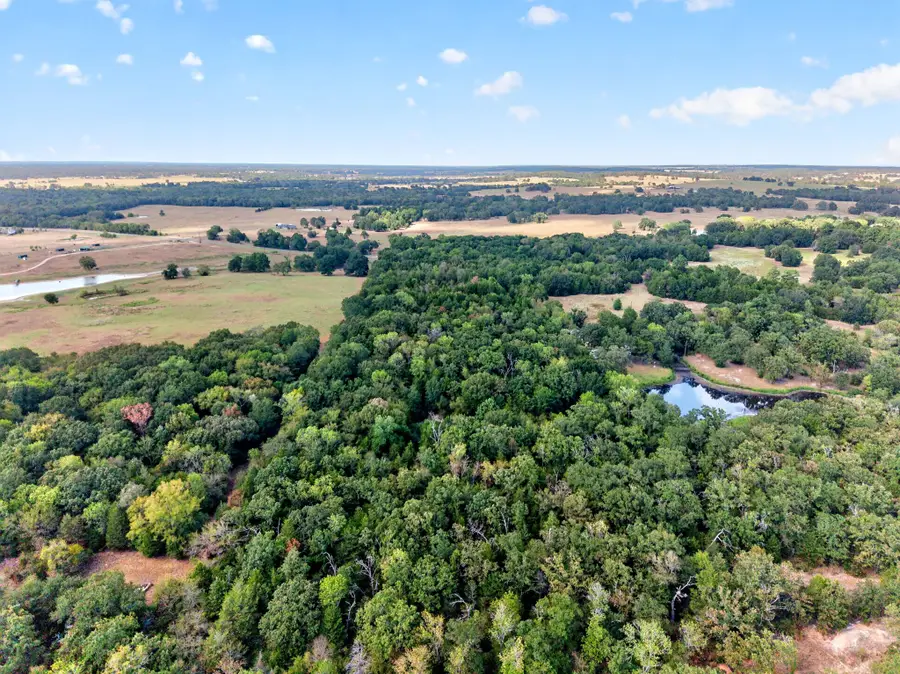 0 N Us Highway 287, Cayuga, TX 75751 - #2