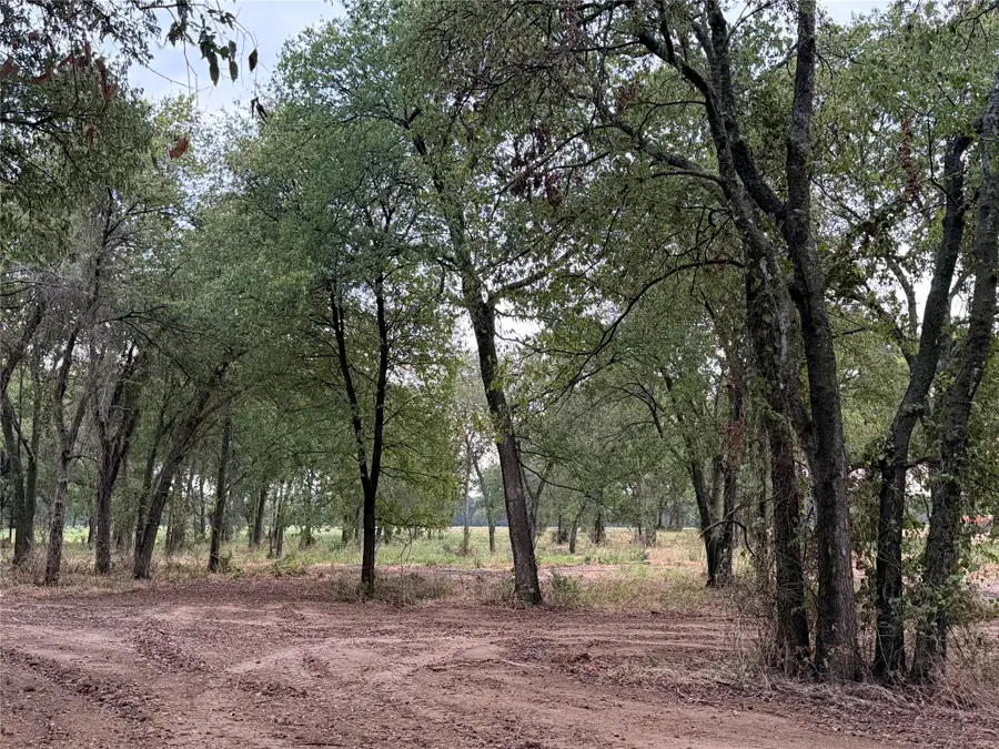 4808 County Road 707, Alvarado, TX 76009 - #3