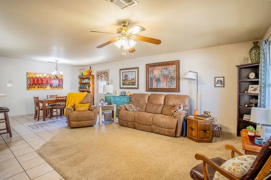 207 Roeser Street, Albany, TX 76430 - #3