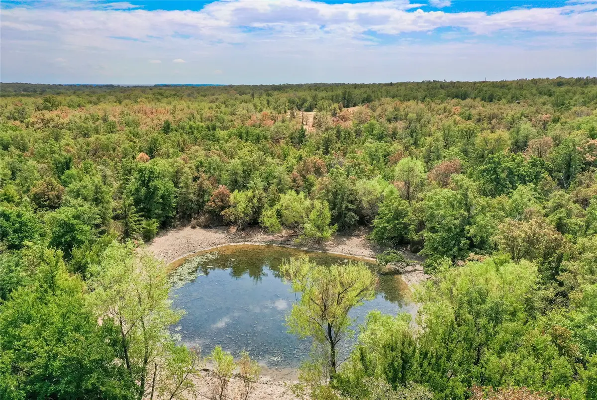 TBD Two Bush Road Road, Perrin, TX 76486 - #1