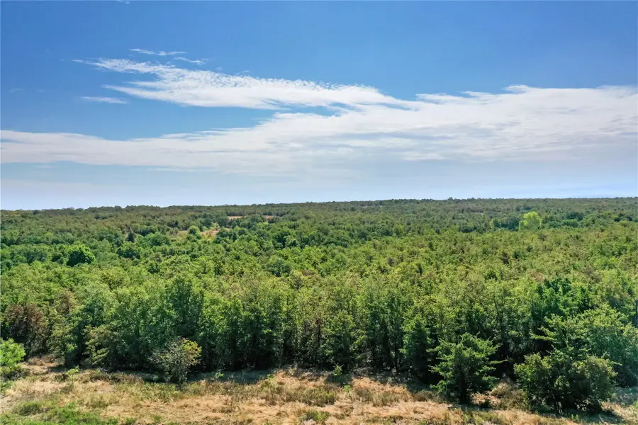 TBD Two Bush Road Road, Perrin, TX 76486 - #2