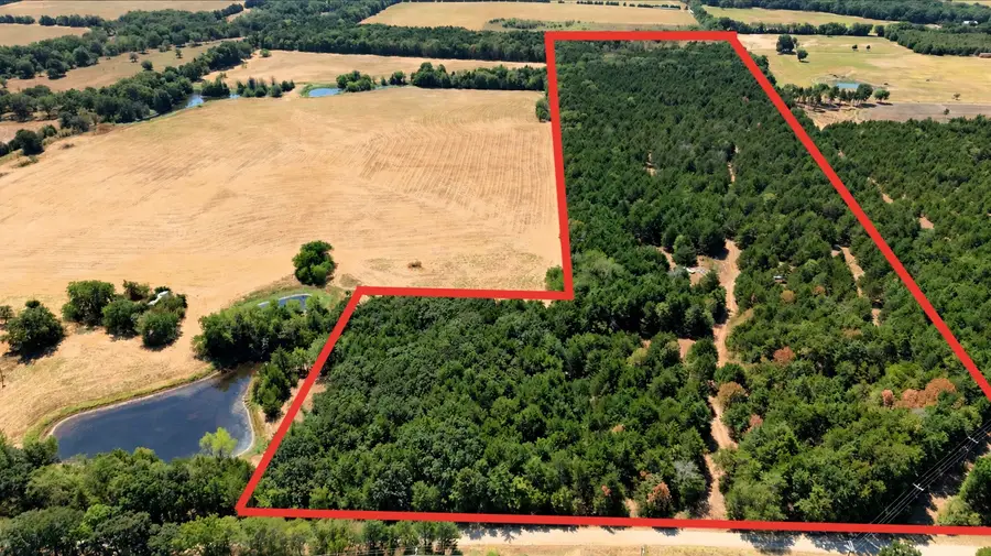 2460 County Road 1220, Savoy, TX 75479 - #2