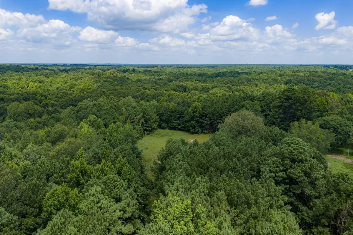 0 County Road 3154, De Berry, TX 75639 - #1