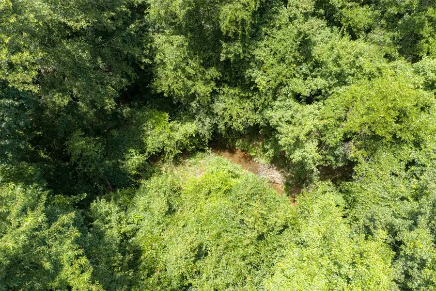 0 County Road 3154, De Berry, TX 75639 - #2