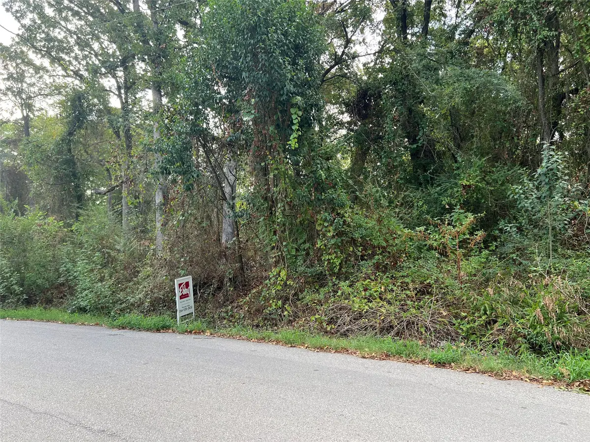 Lot 80 Whispering Oaks, Payne Springs, TX 75156 - #1