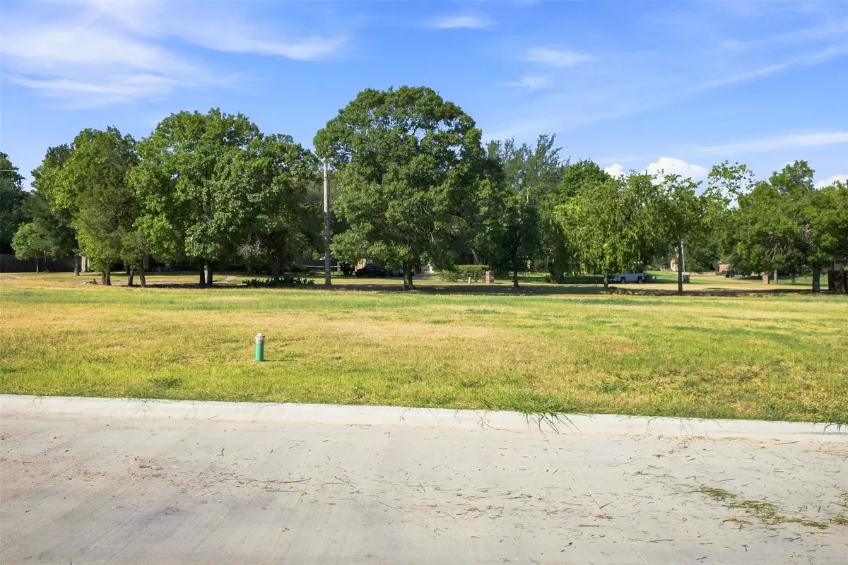 132 Dove Meadow Lane, Glen Rose, TX 76043 - #1
