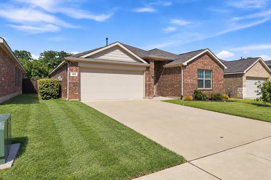 1810 Alamandine Avenue, Cross Roads, TX 76227 - #3