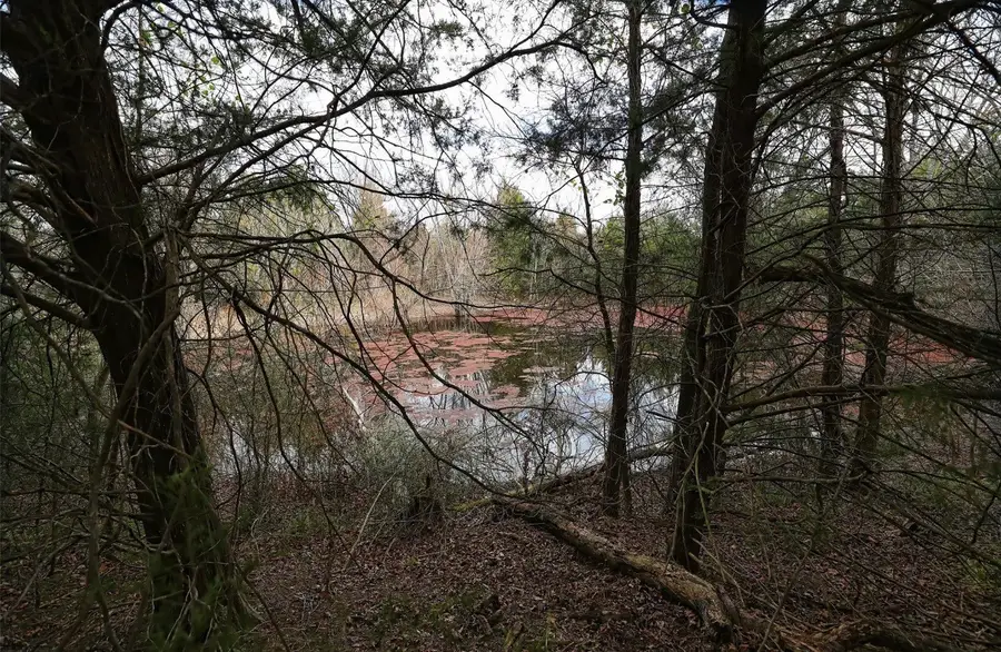 291 Vz County Road 3847, Wills Point, TX 75169 - #2