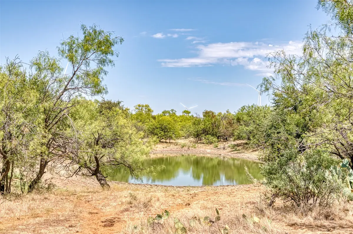 TBD County Road 306, Moran, TX 76464 - #1