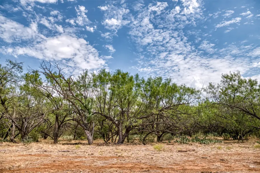 TBD County Road 306, Moran, TX 76464 - #2