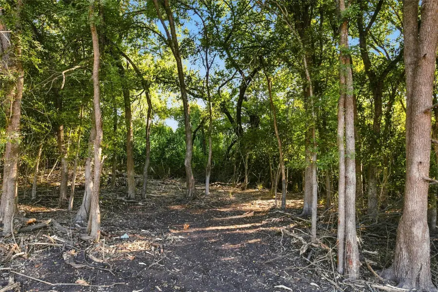 1501 Park Street, Clifton, TX 76634 - #3