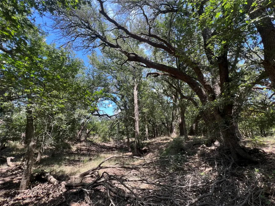 137 County Road 137, Cisco, TX 76437 - #2