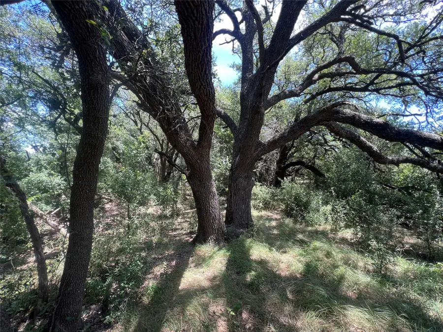 137 County Road 137, Cisco, TX 76437 - #3