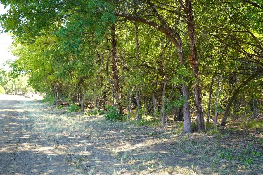 55 County Road 42351, Paris, TX 75462 - #3