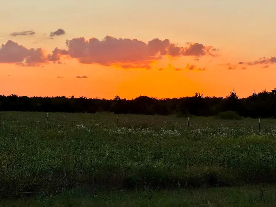20132 County Road 818, Farmersville, TX 75442 - #2