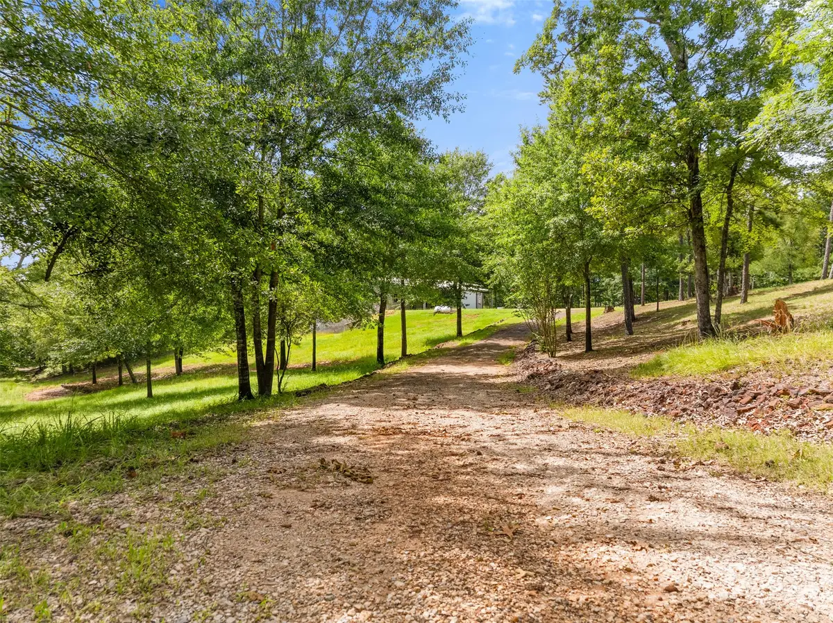 17379 County Road 318, Tyler, TX 75706 - #1