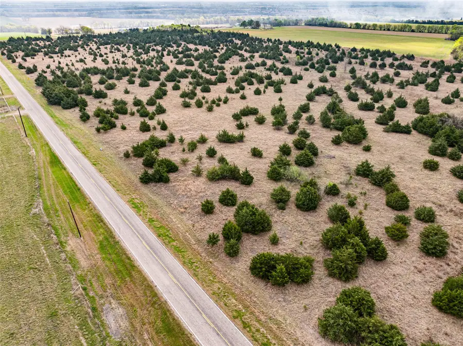 TBD Lot 6 Fm 128, Cooper, TX 75432 - #2
