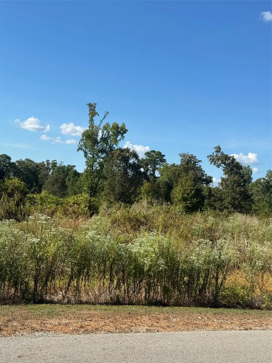 LOT 56 Ridgeline Loop, Winona, TX 75792 - #2