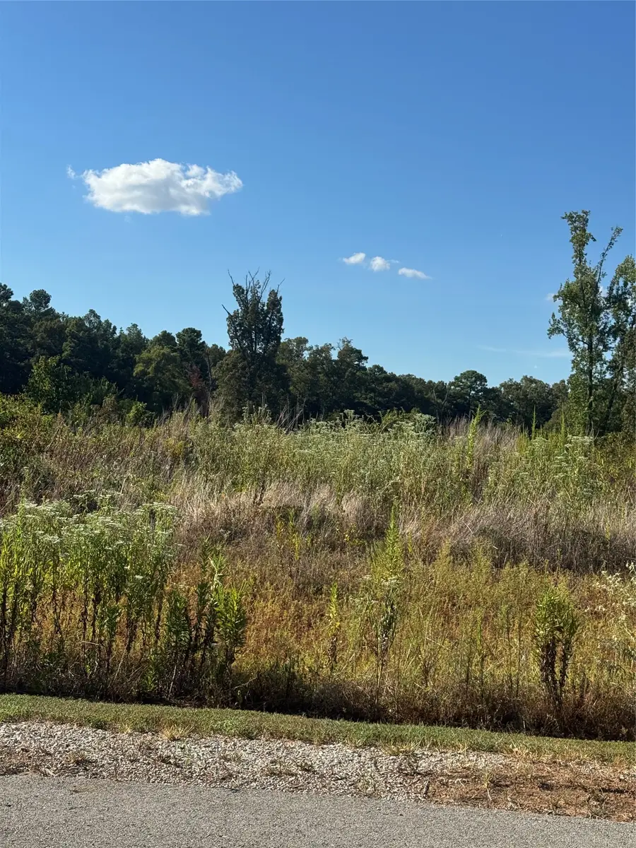 LOT 56 Ridgeline Loop, Winona, TX 75792 - #3