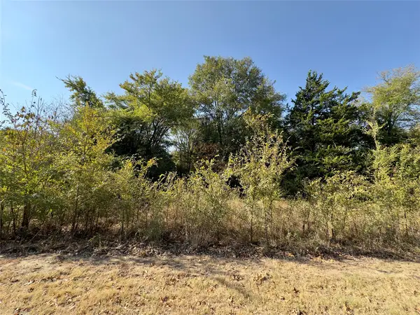 Lot 19 Tanglewood Drive, Sulphur Springs, TX 75482
