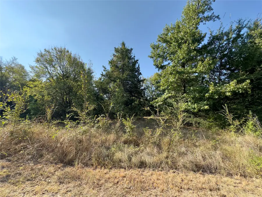 Lot 19 Tanglewood Drive, Sulphur Springs, TX 75482 - #2