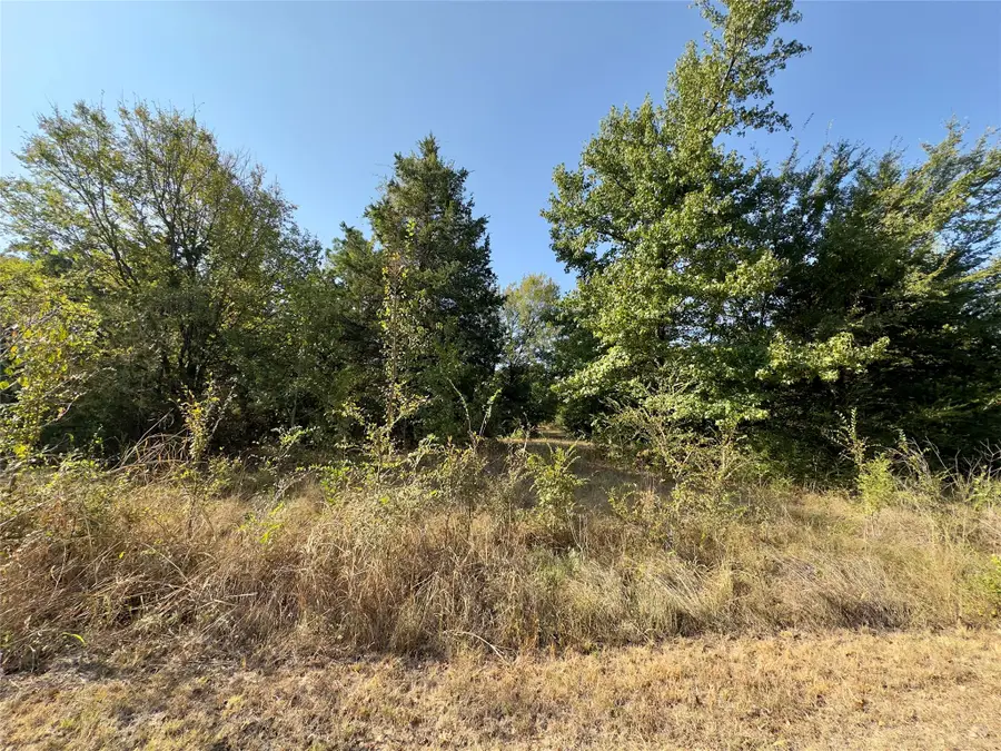 Lot 19 Tanglewood Drive, Sulphur Springs, TX 75482 - #3