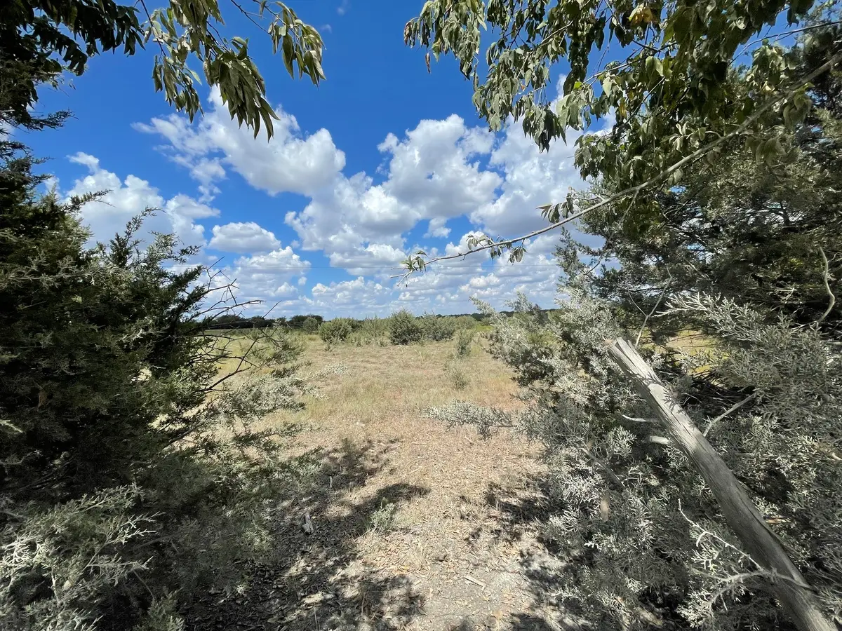 2473 Cr 199b, Iredell, TX 76649 - #1