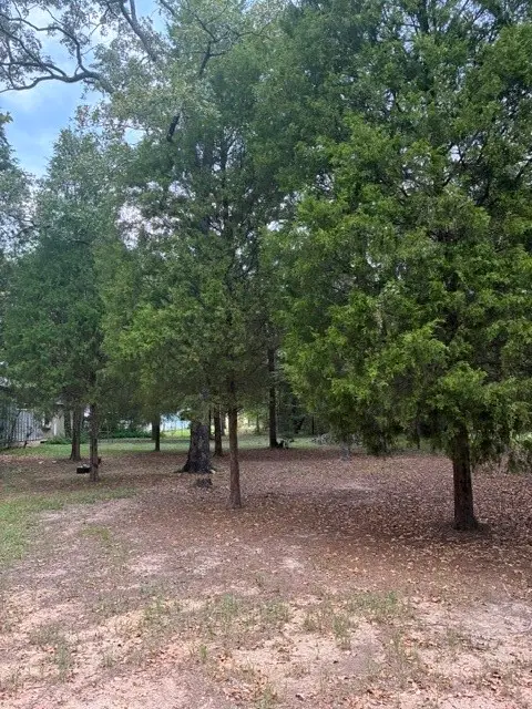 000 Jim Bowie Lane, Log Cabin, TX 75148