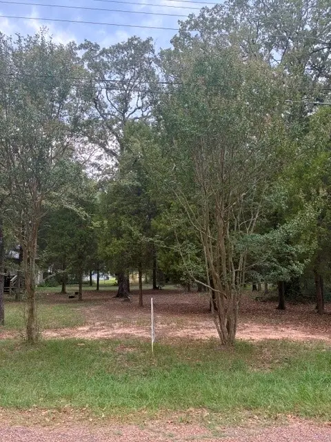 000 Jim Bowie Lane, Log Cabin, TX 75148 - #2