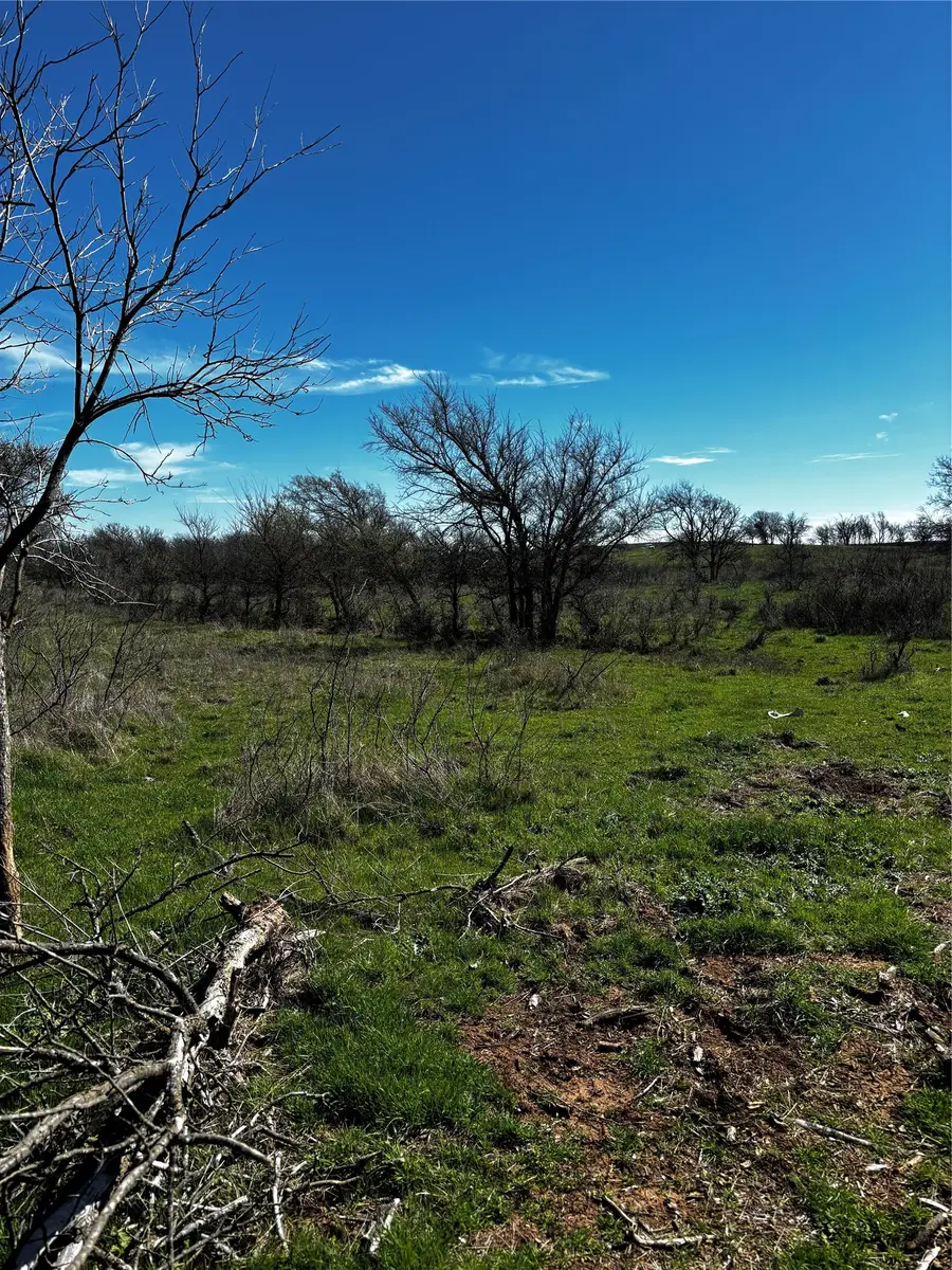 382 High Plains Court, Bellevue, TX 76230 - #2